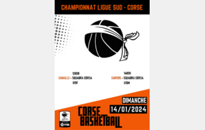 Championnat Ligue Sud - U15F