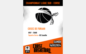 Championnat Ligue Sud - U15F