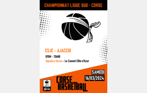 Championnat Ligue Sud - U15M