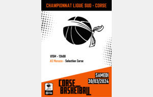 Championnat Ligue Sud - U15M