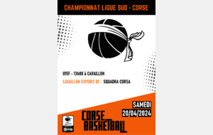 Championnat Ligue Sud - U15F